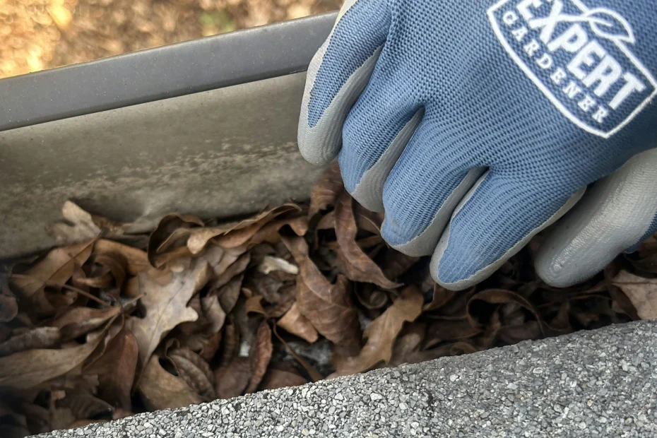 Gutter Cleaning Des Plaines