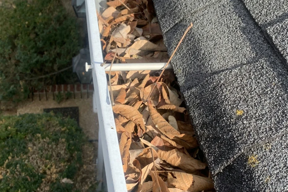 Gutter Cleaning Des Plaines