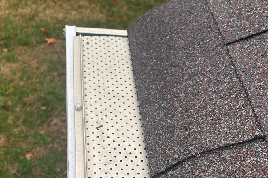 Gutter Cleaning Des Plaines