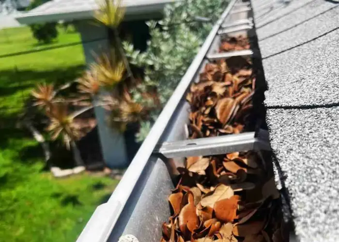 Gutter Cleaning Des Plaines home page